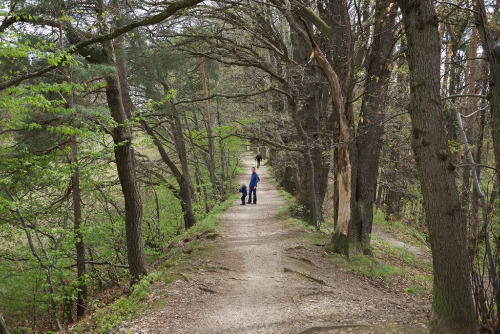 Graz: Andritz – Platte – Rettenbachklamm – Mariatrost